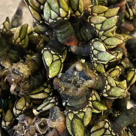 Village Vila do Bispo