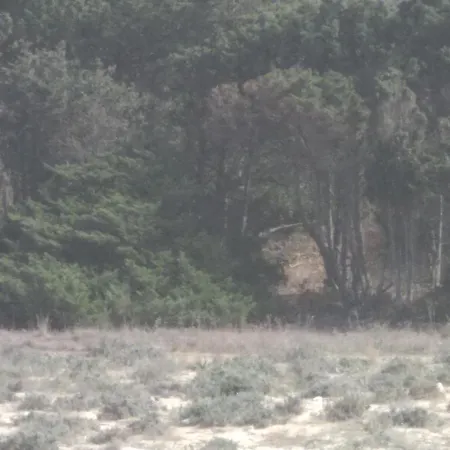 Сasa de vacaciones Village