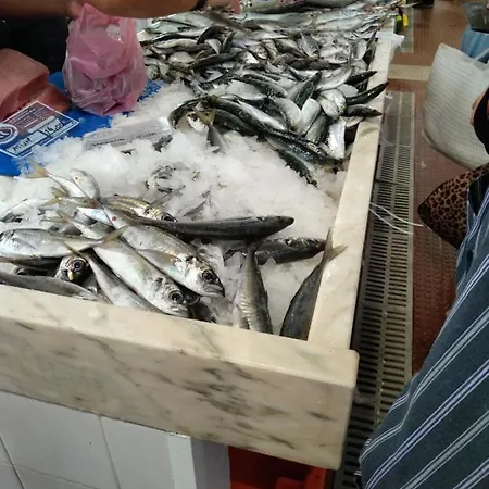 Dom wakacyjny Village