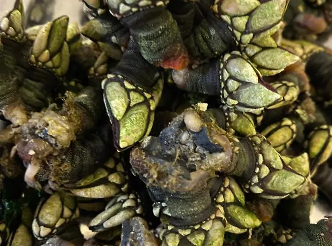 Village Vila do Bispo