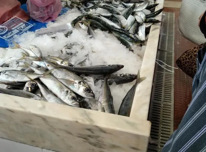 Hébergement de vacances Village